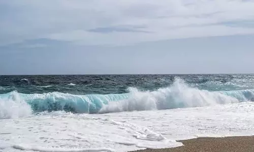 Odisha: तटीय इलाकों में मछली पकड़ने पर 60 दिनों का प्रतिबंध आज से शुरू Odisha: तटीय इलाकों में मछली पकड़ने पर 60 दिनों का प्रतिबंध आज से शुरू