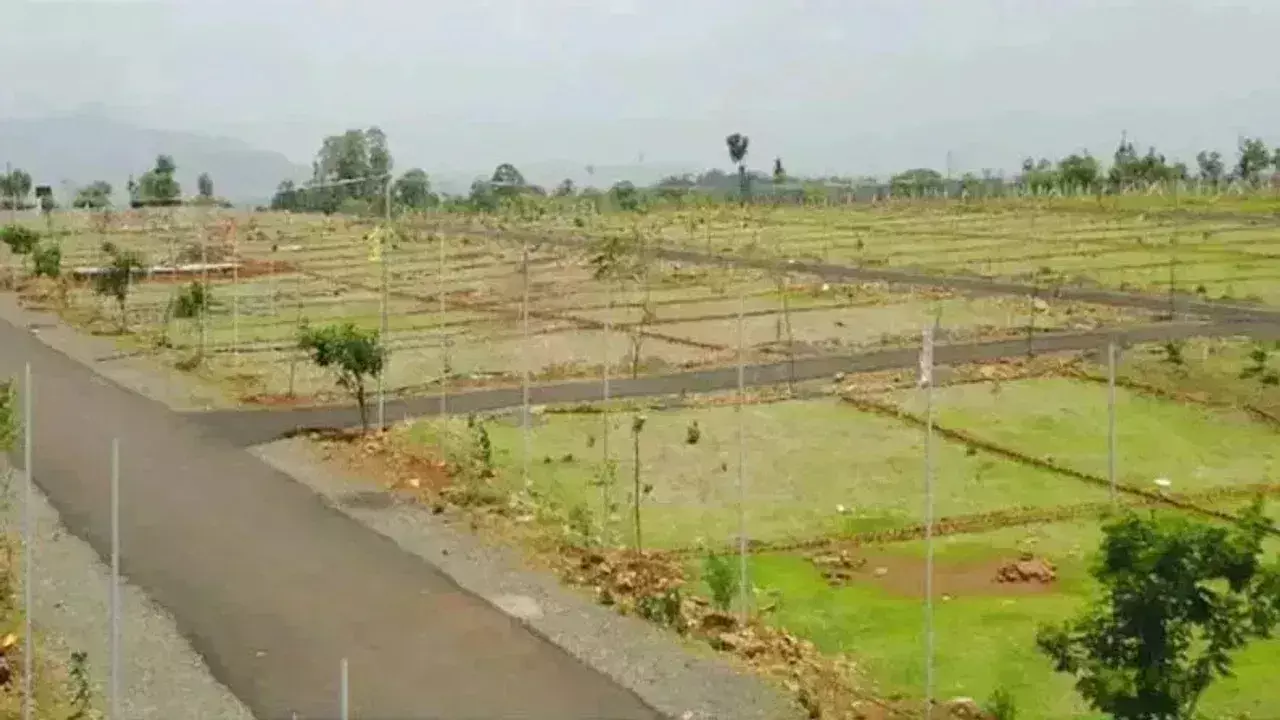 Lucknow: सरकारी जमीन पर प्लॉटिंग करने वालों पर कसेगा शिकंजा, अफसरों पर भी गिरेगी गाज Lucknow: सरकारी जमीन पर प्लॉटिंग करने वालों पर कसेगा शिकंजा, अफसरों पर भी गिरेगी गाज