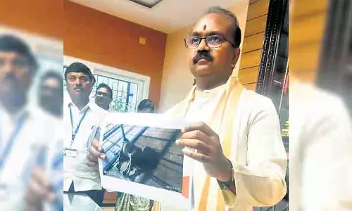 TTD EO ने पलटवार करते हुए कहा- YSRCP शासन के दौरान गायों की मौत ‘सामान्य’ से अधिक TTD EO ने पलटवार करते हुए कहा- YSRCP शासन के दौरान गायों की मौत ‘सामान्य’ से अधिक