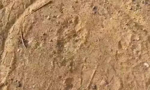 ICRISAT कैंपस में दो तेंदुओं की रिपोर्ट के साथ फिर से चर्चा में ICRISAT कैंपस में दो तेंदुओं की रिपोर्ट के साथ फिर से चर्चा में