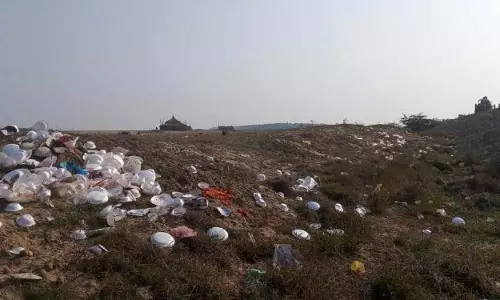 तूफान के बाद ओडिशा तट पर कछुओं की हलचल