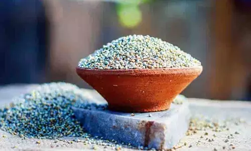 Guru Nanak Dev विश्वविद्यालय ने बाजरे को धीमी गति से खाया जाने वाला भोजन बनाने पर जोर दिया