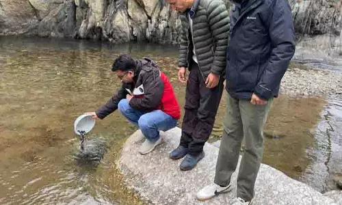 Mandi का बरोट क्षेत्र ट्राउट मछली पालन का प्रमुख केंद्र बना Mandi का बरोट क्षेत्र ट्राउट मछली पालन का प्रमुख केंद्र बना