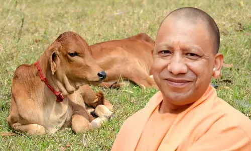 Prayagraj: यूपी सरकार ने मिनी नंदिनी कृषक समृद्धि योजना में तीन परियोजनाओं को दी स्वीकृति