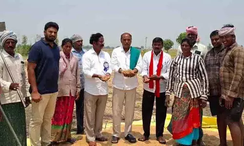 भारी बारिश और ओलावृष्टि से खड़ी फसलों को नुकसान, Khammam में कोयला उत्पादन प्रभावित भारी बारिश और ओलावृष्टि से खड़ी फसलों को नुकसान, Khammam में कोयला उत्पादन प्रभावित