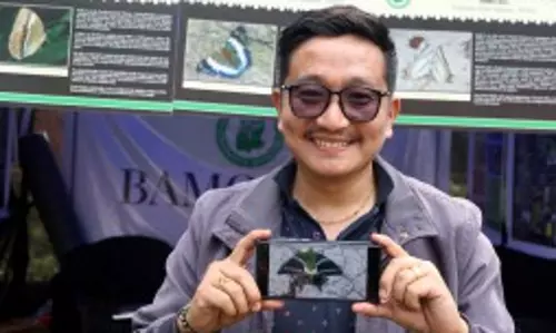 Sikkim रावंगला से भारत में पहली मादा कैसर-ए-हिंद तितली की लाइव तस्वीर ली गई Sikkim रावंगला से भारत में पहली मादा कैसर-ए-हिंद तितली की लाइव तस्वीर ली गई