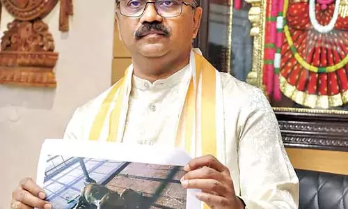 YSRCP शासन के दौरान गोमेधम