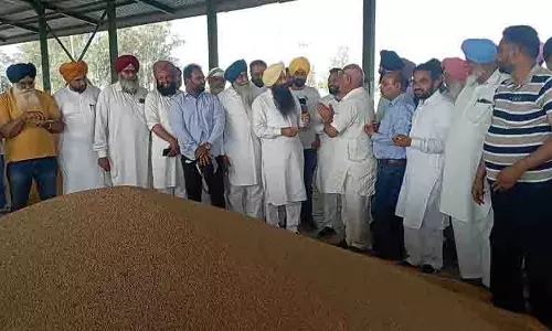 Sahnewal अनाज मंडी में गेहूं की खरीद शुरू