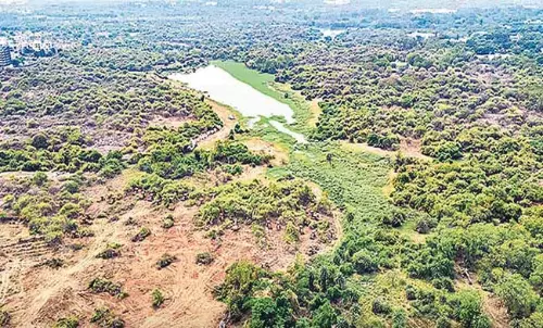 कांचागाछीबौली में 400 एकड़ जमीन राज्य सरकार की है : तेलंगाना सरकार
