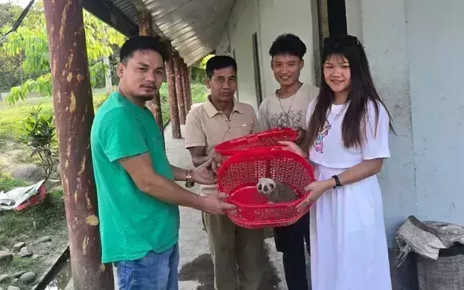 Arunachal: बंगाल स्लो लोरिस को बचाया गया