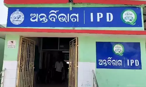 Daringbadi में मधुमक्खियों के हमले में 41 छात्र घायल Daringbadi में मधुमक्खियों के हमले में 41 छात्र घायल