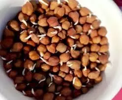 Health: पुरुषों को हर दिन खाने चाहिए एक मुट्ठी अंकुरित चने, 2 दिन में ही दिखने लगेगा फायदा Health: पुरुषों को हर दिन खाने चाहिए एक मुट्ठी अंकुरित चने, 2 दिन में ही दिखने लगेगा फायदा