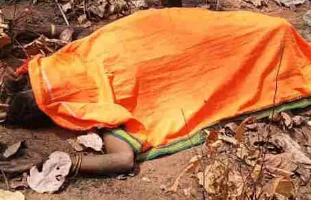हाथी से सामना, महिला को गंवानी पड़ी जान हाथी से सामना, महिला को गंवानी पड़ी जान