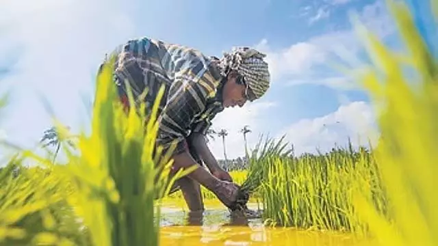 किसानों के लिए खुशखबरी: इस बार सामान्य से अधिक बारिश होने की संभावना किसानों के लिए खुशखबरी: इस बार सामान्य से अधिक बारिश होने की संभावना