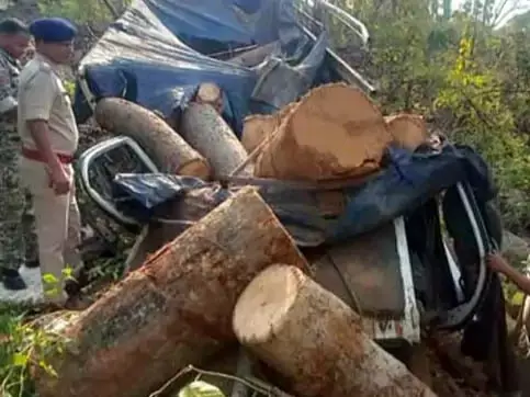 माजदा ड्राइवर की मौत, लकड़ी परिवहन के दौरान हादसे का शिकार माजदा ड्राइवर की मौत, लकड़ी परिवहन के दौरान हादसे का शिकार