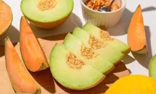 Melon Panna: गर्मी में है सेहत के लिए खास खरबूजे का पन्ना Melon Panna: गर्मी में है सेहत के लिए खास खरबूजे का पन्ना