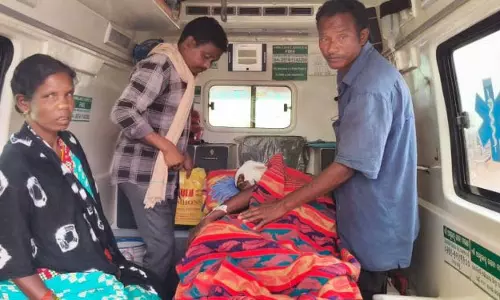 Pottangi: भालू के हमले में युवक की हालत गंभीर