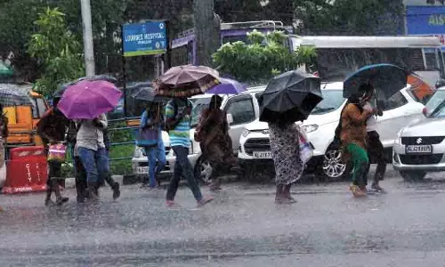 इस मॉनसून में आंध्र में सामान्य से अधिक बारिश होने की संभावना: IMD