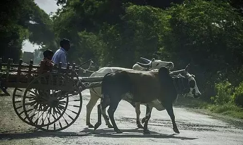 Madhya Pradesh: किसान कल्याण मिशन को कैबिनेट की मंजूरी मिली