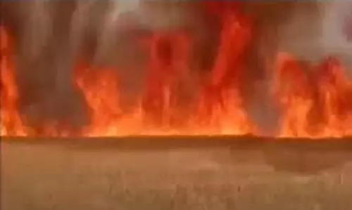 Haryana : गेहूं की फसल में लगी आग, मौके पर पहुंची फायर ब्रिगेड
