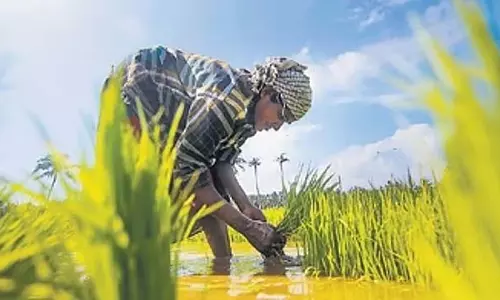 किसानों के लिए खुशखबरी: इस बार सामान्य से अधिक बारिश होने की संभावना