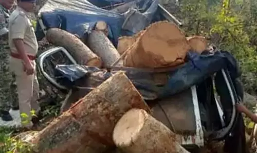 माजदा ड्राइवर की मौत, लकड़ी परिवहन के दौरान हादसे का शिकार