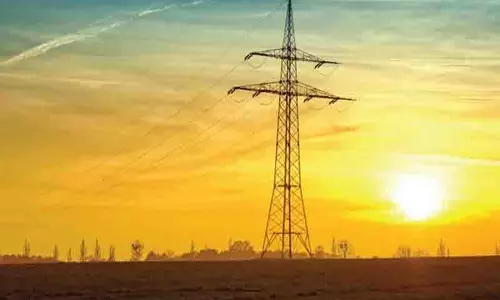 बिजली चोरी से PSPCL को झटका, प्रतिदिन 5.5 करोड़ रुपये का नुकसान बिजली चोरी से PSPCL को झटका, प्रतिदिन 5.5 करोड़ रुपये का नुकसान