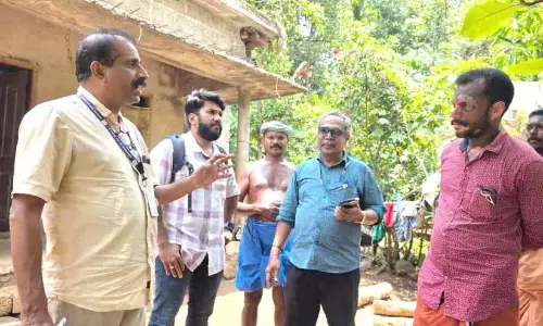 कोरुथोट्टी में पीलिया; 15 लोगों ने पुष्टि की