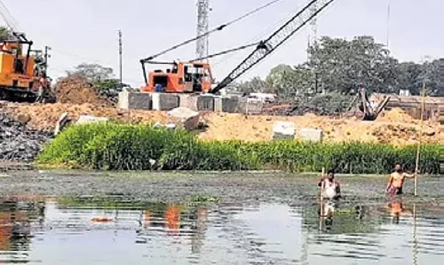 Odisha की गोबरी नदी का पुनरुद्धार प्रस्तावित
