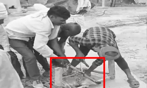 इंसान बना जानवर! आवारा कुत्ते के प्लास से निकाले दांत, सामने आया वीडियो