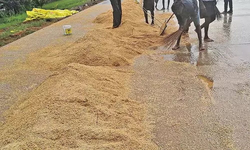 Andhra: बेमौसम बारिश ने किसानों की उम्मीदों पर डाला पानी