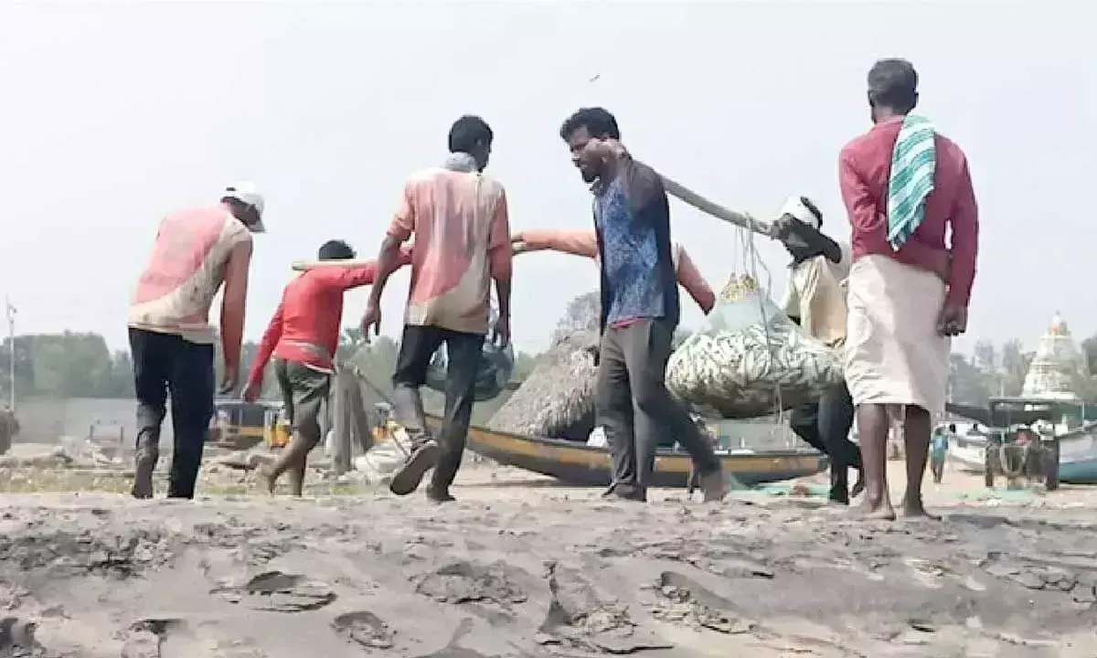 सरकार ने 61 दिनों के लिए मछली पकड़ने पर प्रतिबंध लगाया