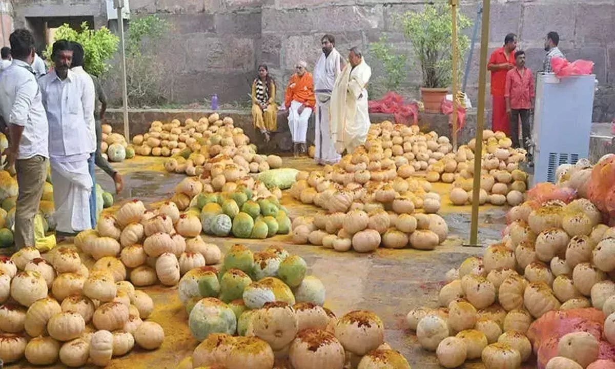 Andhra: श्रीशैलम पहाड़ी मंदिर में कुंबोत्सवम का आयोजन किया गया