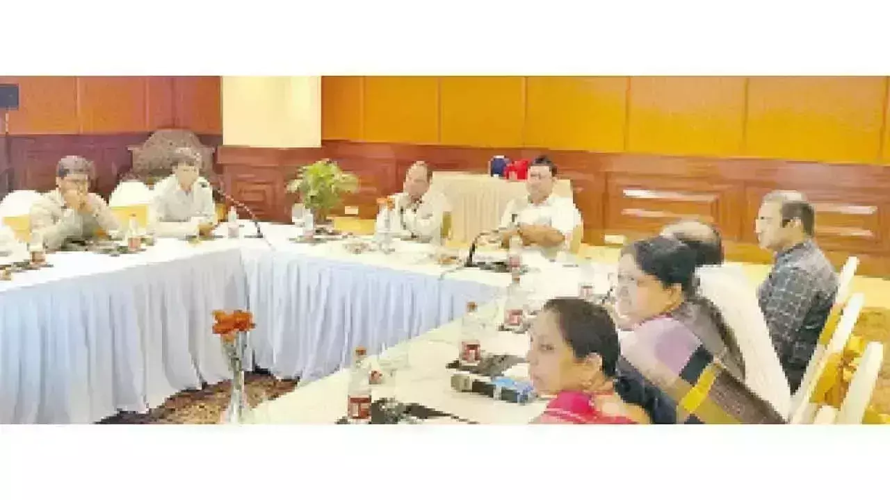 CEA प्रमुख ने टीजी बिजली कंपनियों को सहायता देने का आश्वासन दिया