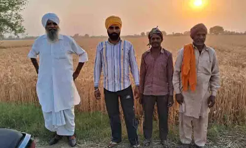 सीमावर्ती क्षेत्र के किसान चाहते, BSF गेहूं कटाई के नियमों में ढील दे