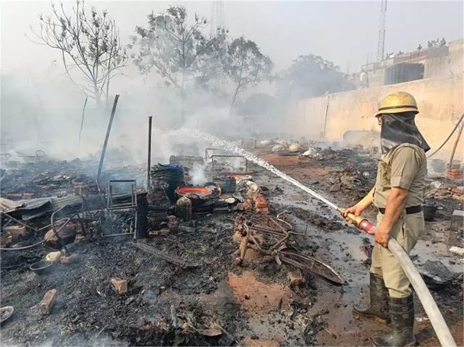 Haryana : झुग्गियों में लगी भीषण आग,जिन्दा जले दो स्ट्रे डॉग Haryana : झुग्गियों में लगी भीषण आग,जिन्दा जले दो स्ट्रे डॉग
