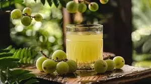 Health : इन लोगों को नहीं पीना चाहिए आंवले का जूस, सेहत को हो सकता है बड़ा नुकसान Health : इन लोगों को नहीं पीना चाहिए आंवले का जूस, सेहत को हो सकता है बड़ा नुकसान
