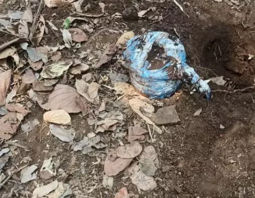 नक्सलियों ने नारायणपुर में रची थी बड़ी साजिश, 5 किलो का प्रेशर कुकर IED बरामद नक्सलियों ने नारायणपुर में रची थी बड़ी साजिश, 5 किलो का प्रेशर कुकर IED बरामद