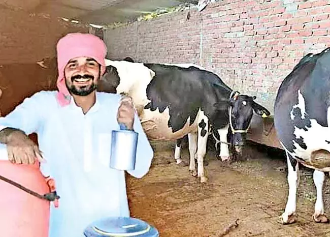 Odisha: डेयरी किसानों पर हुई कृपा की वर्षा Odisha: डेयरी किसानों पर हुई कृपा की वर्षा