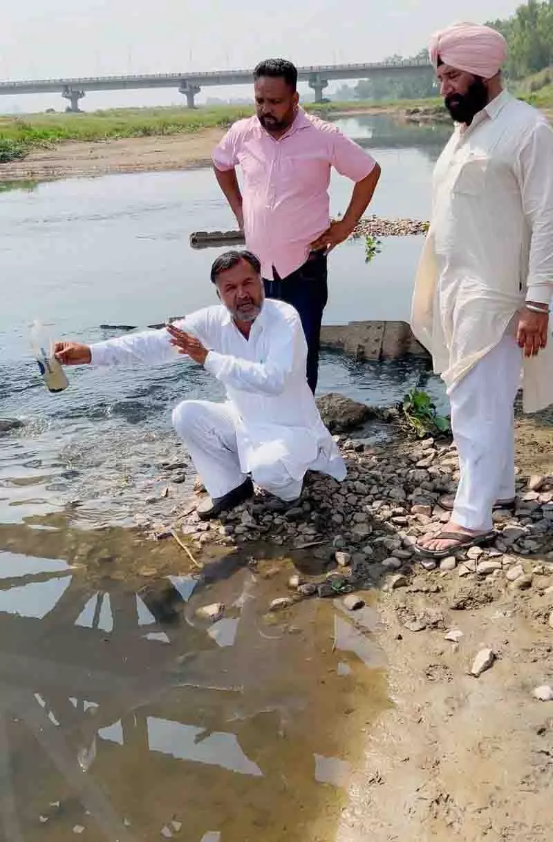 किसानों ने Abohar ब्रांच नहर में दूषित पानी की शिकायत की किसानों ने Abohar ब्रांच नहर में दूषित पानी की शिकायत की