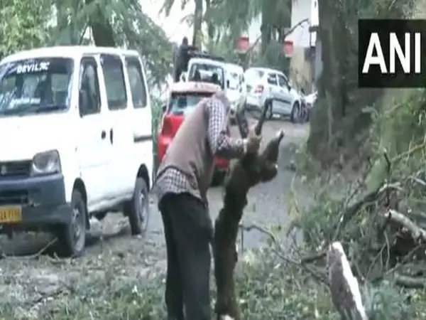 तूफान से फसलों को भारी नुकसान पहुंचा है, अभी तक कोई हताहत नहीं हुआ: Himachal राजस्व मंत्री तूफान से फसलों को भारी नुकसान पहुंचा है, अभी तक कोई हताहत नहीं हुआ: Himachal राजस्व मंत्री