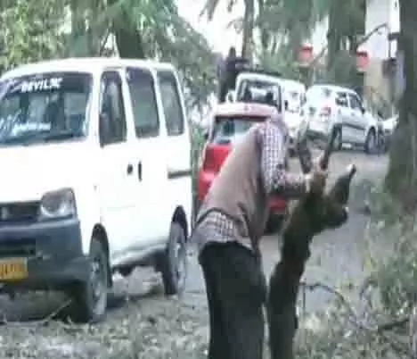 तूफान से फसलों को भारी नुकसान, अभी तक कोई हताहत नहीं: हिमाचल प्रदेश के राजस्व मंत्री तूफान से फसलों को भारी नुकसान, अभी तक कोई हताहत नहीं: हिमाचल प्रदेश के राजस्व मंत्री