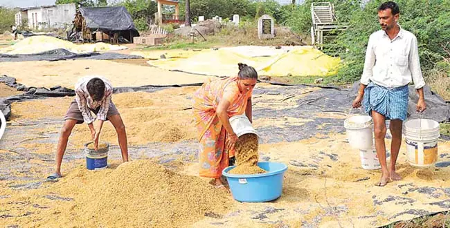 Telangana: बेमौसम बारिश ने किसानों की नींद उड़ा दी Telangana: बेमौसम बारिश ने किसानों की नींद उड़ा दी