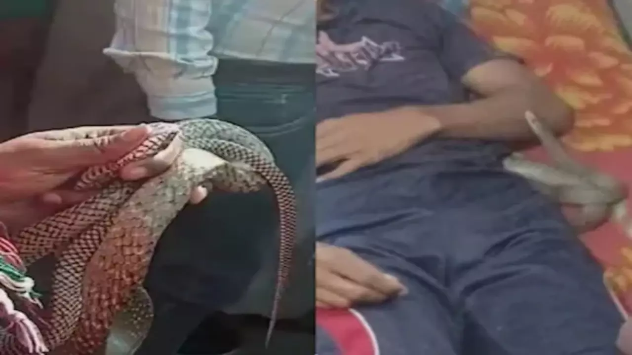 Meerut: पत्नी और ब्वॉयफ्रेंड ने पति को सांप से डंसवाया, पोस्टमार्टम रिपोर्ट ने किया चौंकाने वाला खुलासा Meerut: पत्नी और ब्वॉयफ्रेंड ने पति को सांप से डंसवाया, पोस्टमार्टम रिपोर्ट ने किया चौंकाने वाला खुलासा