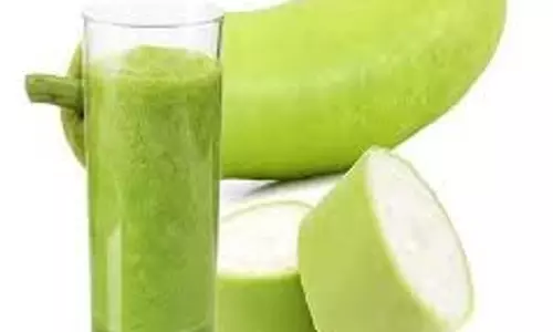 gourd juice: खाली पेट लौंकी का जूस पीने से मिलते हैं ये जादुई फायदे gourd juice: खाली पेट लौंकी का जूस पीने से मिलते हैं ये जादुई फायदे