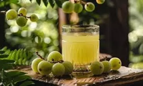 Health  : इन लोगों को नहीं पीना चाहिए आंवले का जूस, सेहत को हो सकता है बड़ा नुकसान