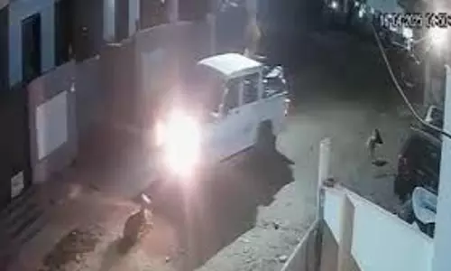 Jaipur : पिकअप चालक ने हैवानियत,सड़क किनारे सो रहे कुत्ते को बेरहमी से कुचला