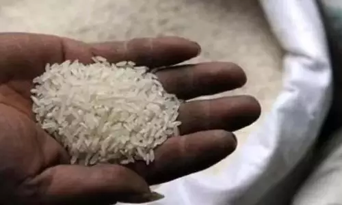 कस्टम राइस मिलिंग घोटाले में IAS अधिकारी पर पुलिस ने जांच तेज कर दी