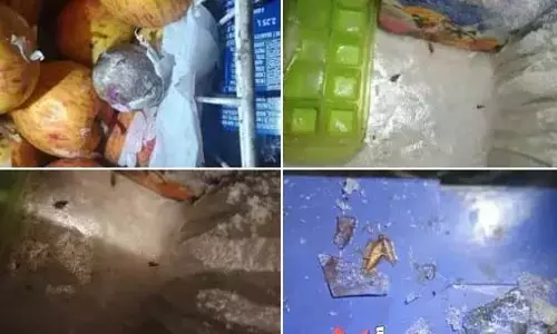 Ameerpet नेचुरल फ्लेवर्स में इस्तेमाल किया जाने वाला एक्सपायर फ्रूट सिरप