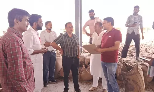 Haryana : सिरसा में 20,000 क्विंटल गेहूं, सरसों की अवैध जमाखोरी पकड़ी गई Haryana : सिरसा में 20,000 क्विंटल गेहूं, सरसों की अवैध जमाखोरी पकड़ी गई